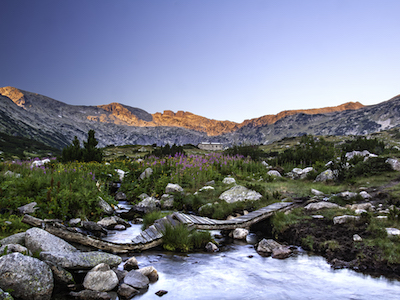 Mountain stream